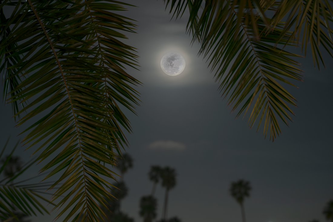 Week on the West Coast