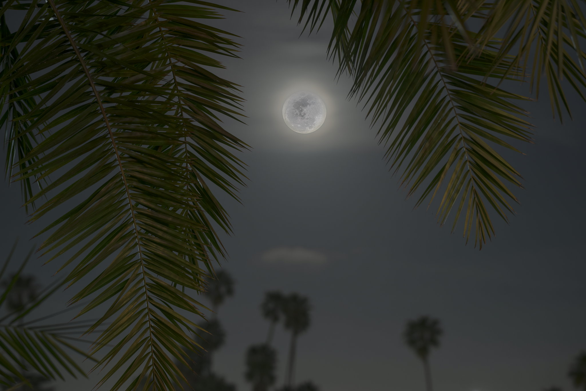 Week on the West Coast