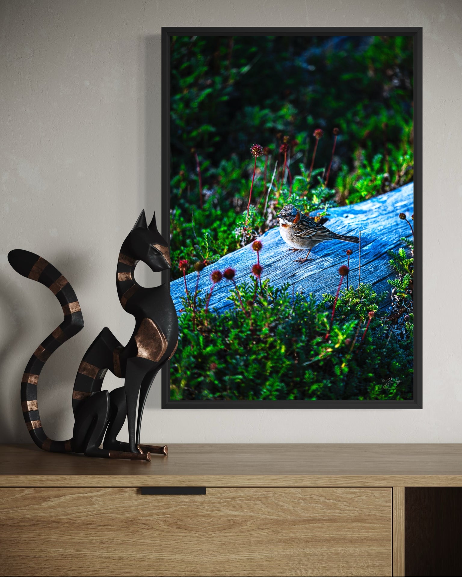 Rufous-Collared Sparrow