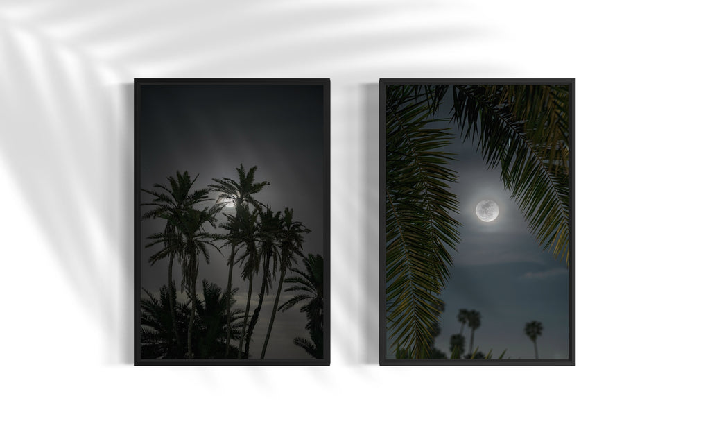 Set - Moon through the Palm Trees