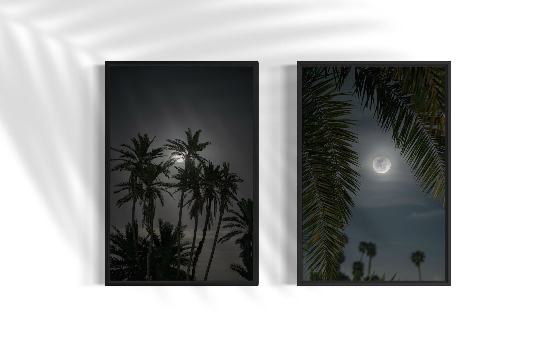 Set - Moon through the Palm Trees